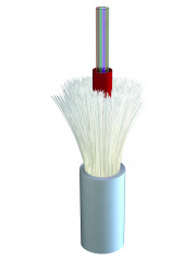 Webp.net-compress-image (60).jpg