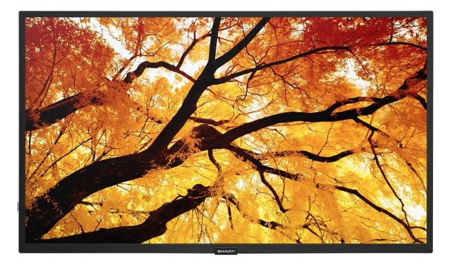 Monitor wielkoformatowy 55" seria M, UHD, 550 cd/m2, podświetlenie D-LED, 24/7, SDM, CM